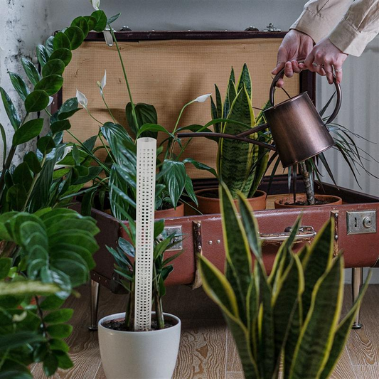 Pillars for Climbing Plants and Green Plants - Support Pillars for Vertical Plant Cultivation