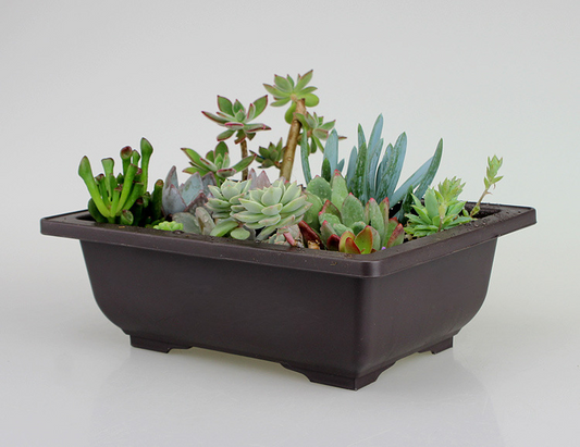 Plant Pot with Saucer - Rectangular Flower Pot for Garden and Balcony