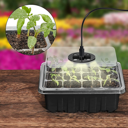 Cultivation Set with Light - Complete Set for Successful Plant Cultivation