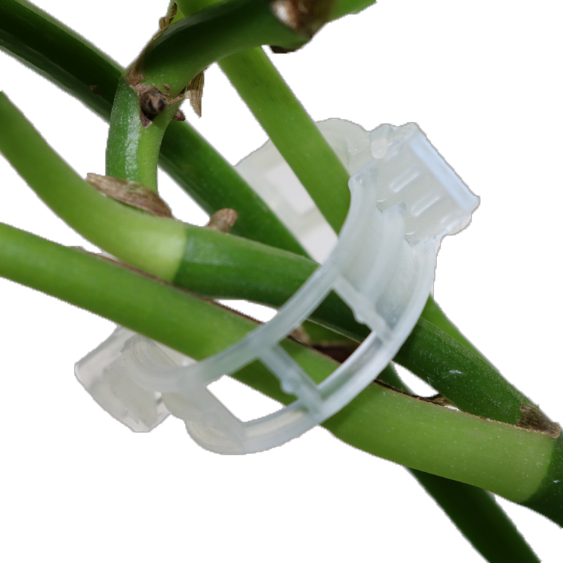 Plant Support Clip for Climbing Plants - Flexible Holder for Plant Stems