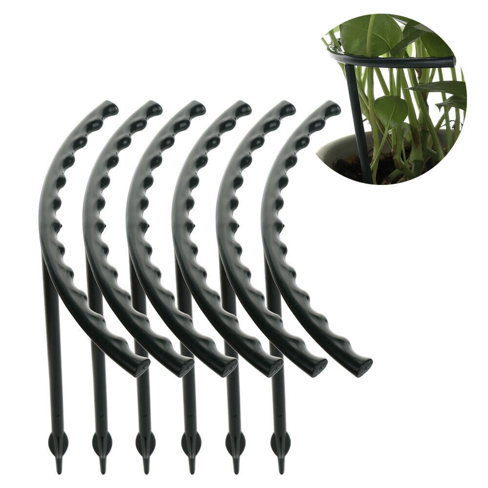 Climbing Support for Plants - Robust Support with Cage Design for Growth and Stability