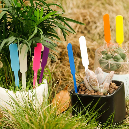 Coloured Plastic Plant Plugs - Weatherproof & Rewritable