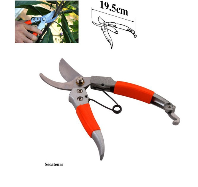 Garden Tool Set with Carry Bag - 10 - Piece Set for Garden Maintenance