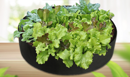 Round Plant Growth Bag - Garden Container for Easy Plant Growth