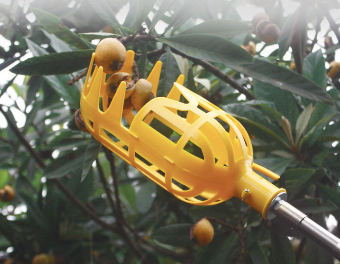 Harvesting Aid for Fruit - Practical Fruit Gripper Tool for Trees and Shrubs