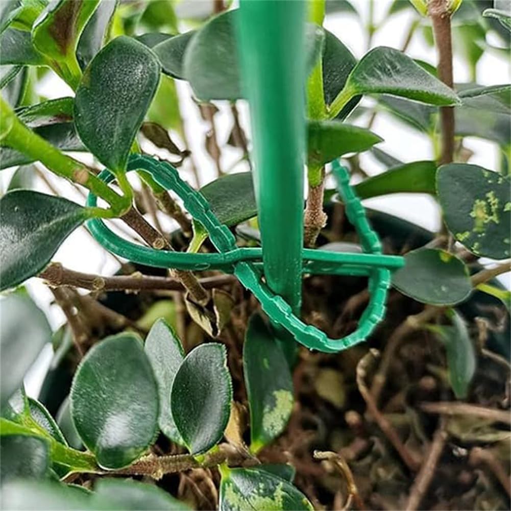 Plant Fixing Cable Tie Set for Stable Fastening of Plants