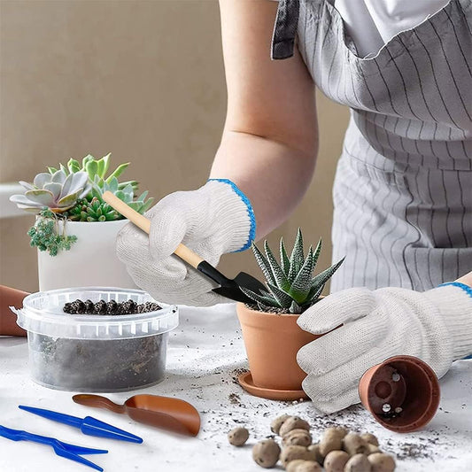 Succulent Garden Tool Set with Spray Bottle and Accessories