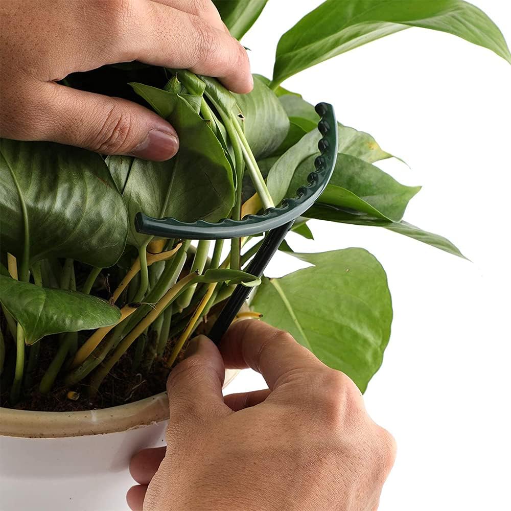 Climbing Support for Plants - Robust Support with Cage Design for Growth and Stability