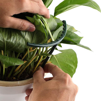 Climbing Support for Plants - Robust Support with Cage Design for Growth and Stability
