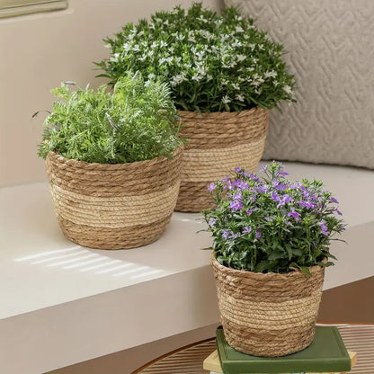 Decorative Plant Baskets Made of Seagrass in a Set of 3 - Hand - Woven Flower Pots with Foil Insert