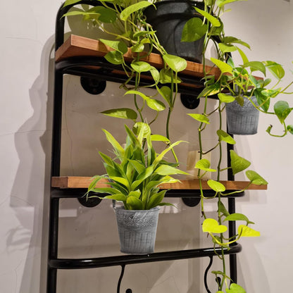 Hanging Metal Plant Pot in Vintage Design - Decorative Flower Pot for Indoor and Outdoor Use