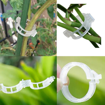 Plant Support Clip for Climbing Plants - Flexible Holder for Plant Stems