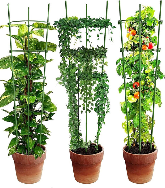 Climbing Frame for Plants - Stable Support Ring Frame for Climbing Plants