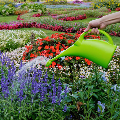 Practical Watering Can for the Garden - Ergonomic Design and Easy Handling