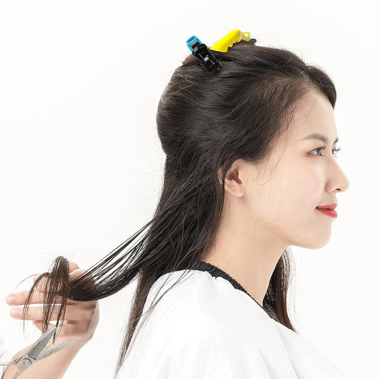 Professional Hair Styling Clips