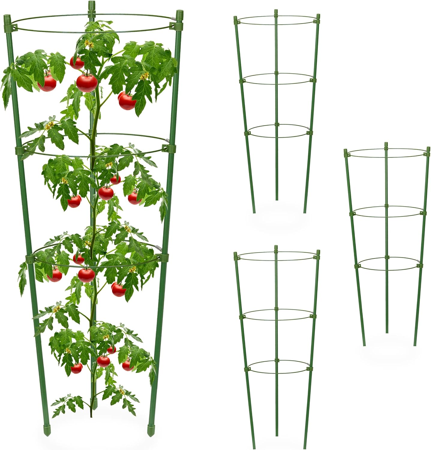 Climbing Frame for Plants - Stable Support Ring Frame for Climbing Plants