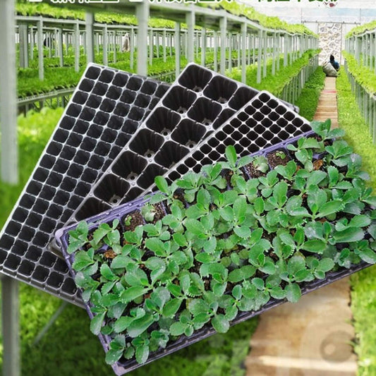 Rectangular Plant Tray - Seed Tray for Efficient Germination and Growth of Seedlings