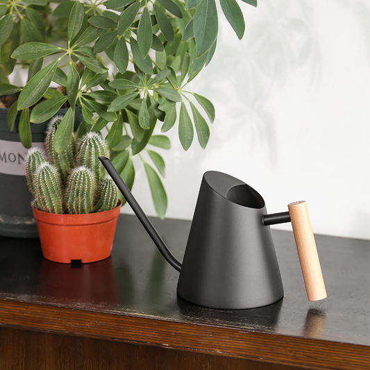 Modern Watering Can with Wooden Handle - Stylish Watering Can for Plants in the Garden