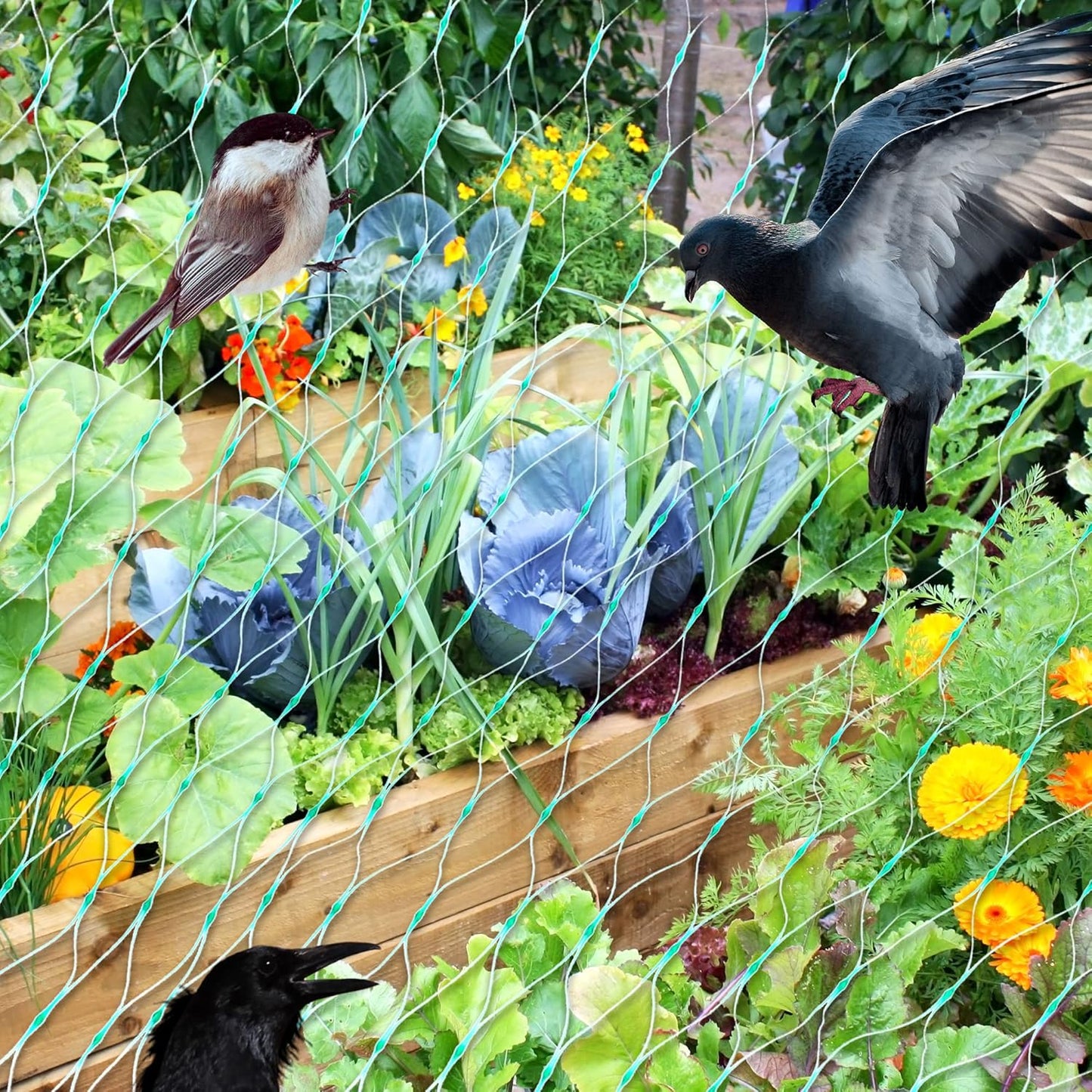 Protective Netting for Garden Plants - Green Netting Against Pests and Animals