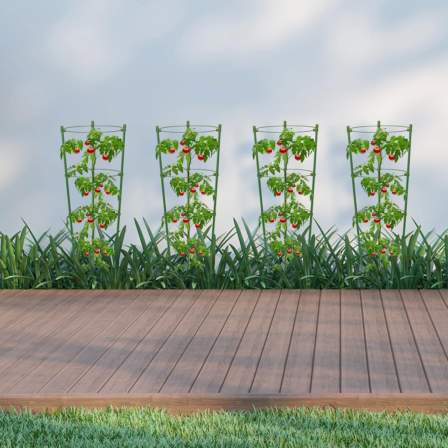 Climbing Frame for Plants - Stable Support Ring Frame for Climbing Plants