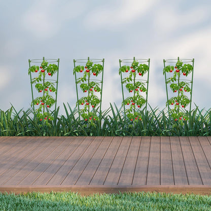Climbing Frame for Plants - Stable Support Ring Frame for Climbing Plants