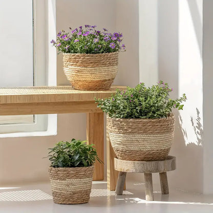 Decorative Plant Baskets Made of Seagrass in a Set of 3 - Hand - Woven Flower Pots with Foil Insert