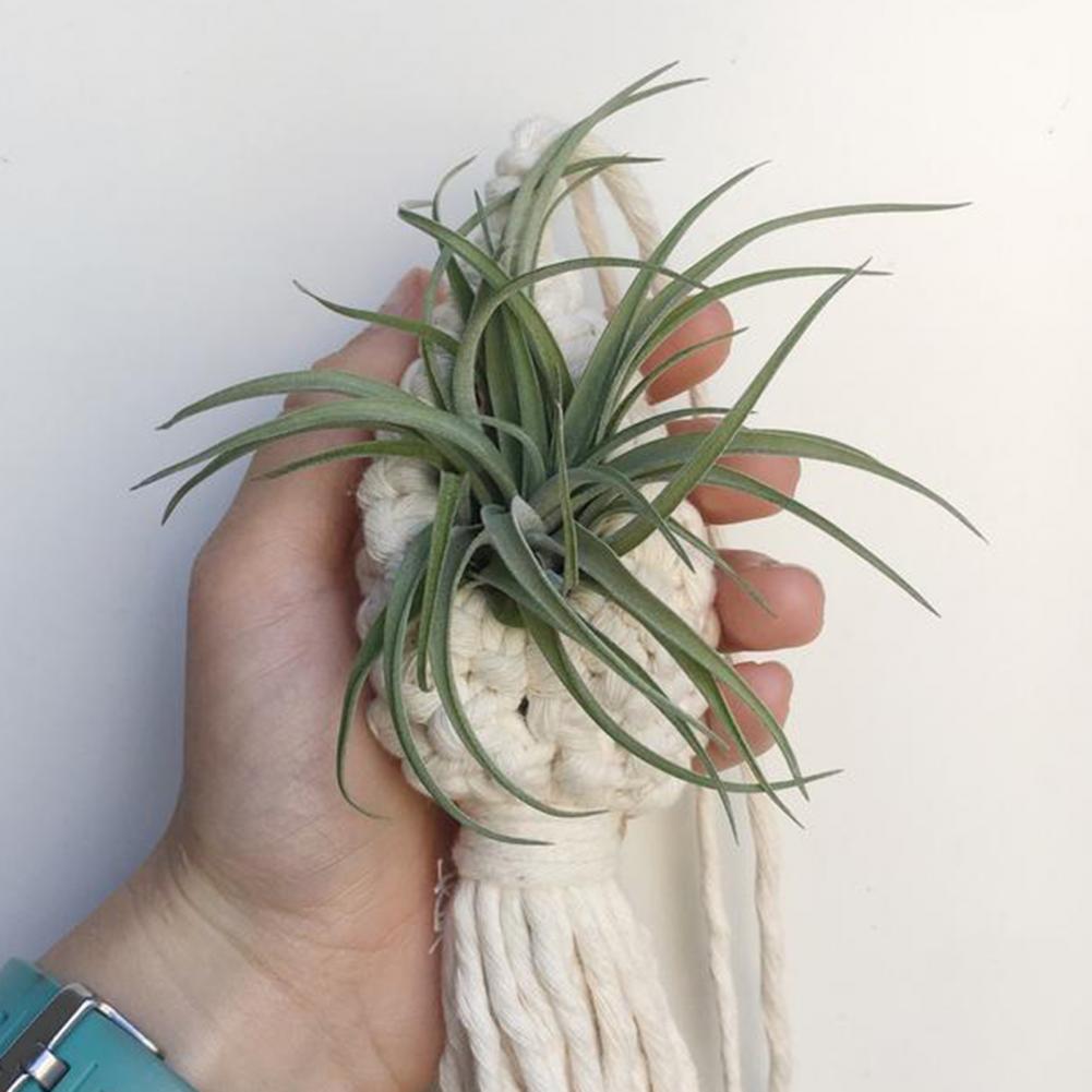 Handmade Macramé Plant Hanger - Decorative Suspension for Plants in Boho Style