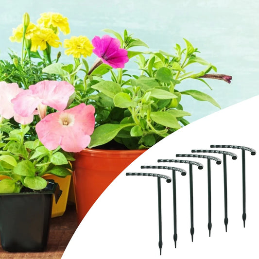 Climbing Support for Plants - Robust Support with Cage Design for Growth and Stability