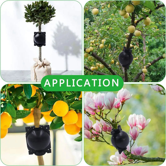 Plant Protection Balls for Roots - Protective Caps for Safe Transplanting and Growth