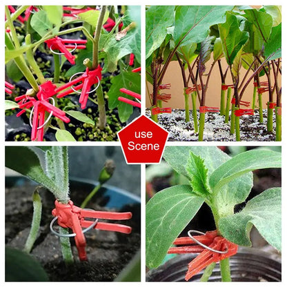 Plastic Grafting Clips for Garden Plants - Ideal for Vegetables and Plant Care