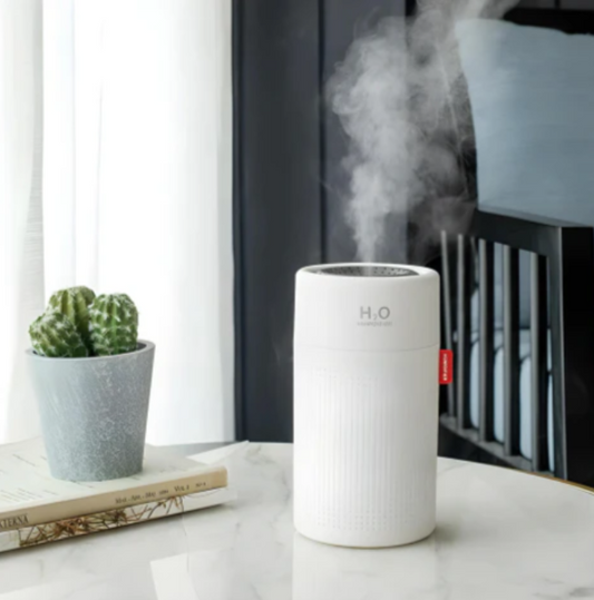 Mobile Rechargeable Humidifier