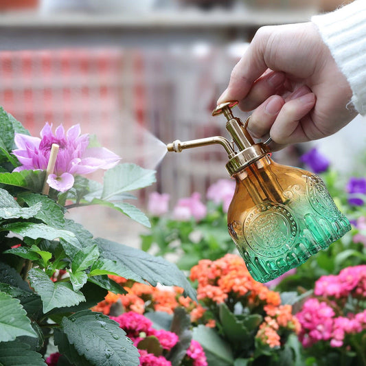 Embossed Glass Bottle with Metal Nozzle - Plant Sprayer for Watering Flowers in a Vintage Design