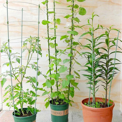 Climbing Frame for Plants - Stable Support Ring Frame for Climbing Plants