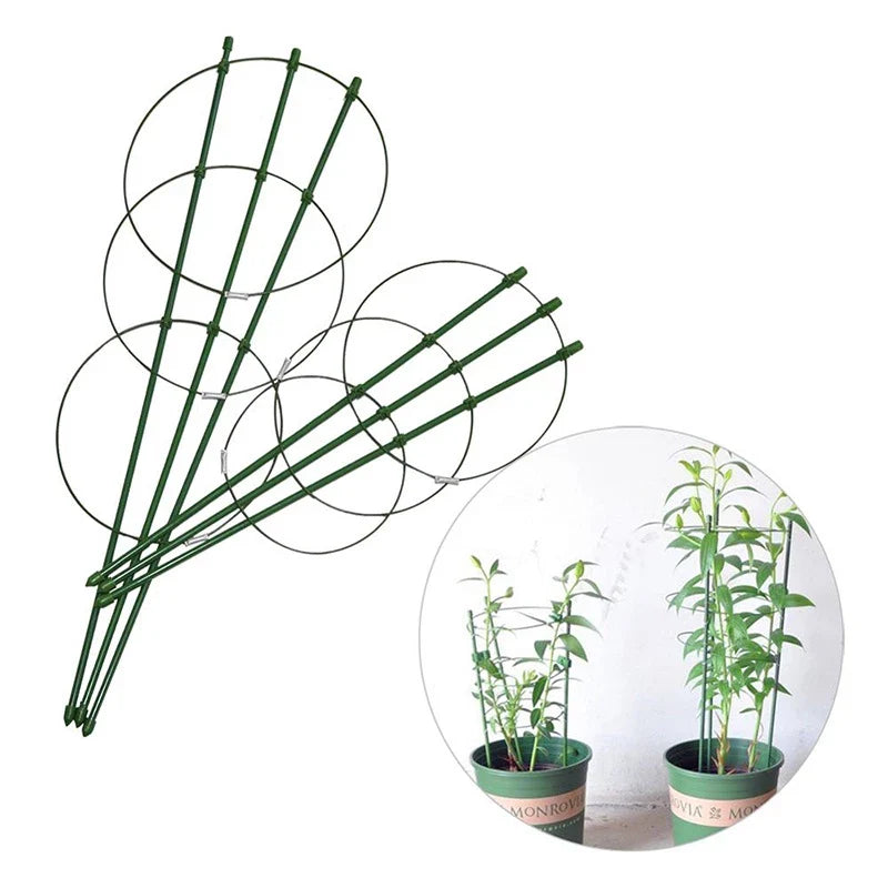 Climbing Frame for Plants - Stable Support Ring Frame for Climbing Plants