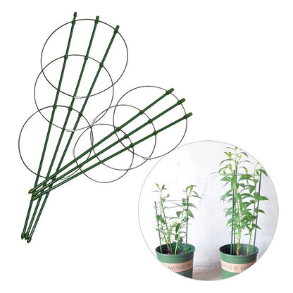 Climbing Frame for Plants - Stable Support Ring Frame for Climbing Plants