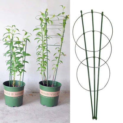 Climbing Frame for Plants - Stable Support Ring Frame for Climbing Plants