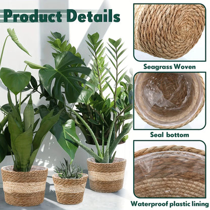 Decorative Plant Baskets Made of Seagrass in a Set of 3 - Hand - Woven Flower Pots with Foil Insert