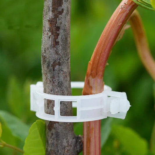 Plant Support Clip for Climbing Plants - Flexible Holder for Plant Stems