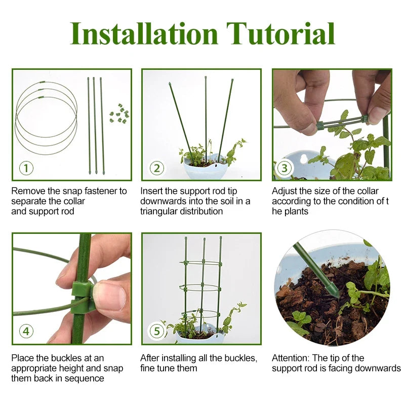 Climbing Frame for Plants - Stable Support Ring Frame for Climbing Plants