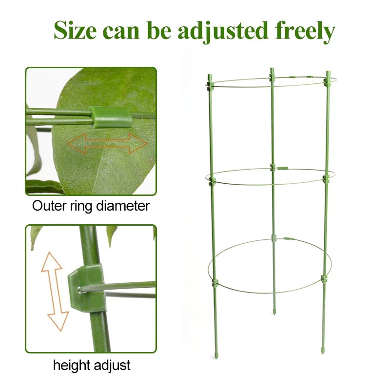 Climbing Frame for Plants - Stable Support Ring Frame for Climbing Plants