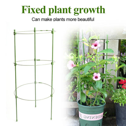 Climbing Frame for Plants - Stable Support Ring Frame for Climbing Plants