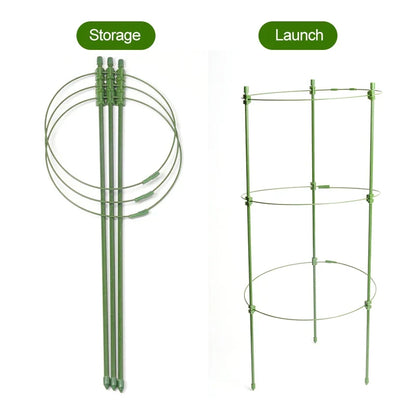 Climbing Frame for Plants - Stable Support Ring Frame for Climbing Plants