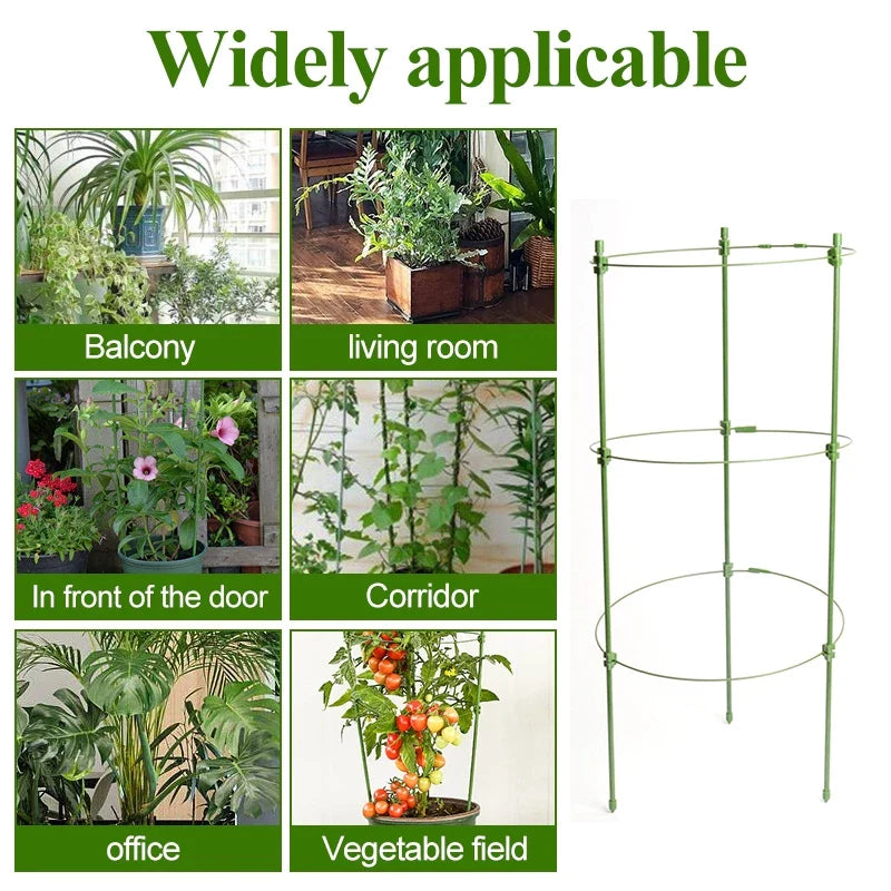 Climbing Frame for Plants - Stable Support Ring Frame for Climbing Plants