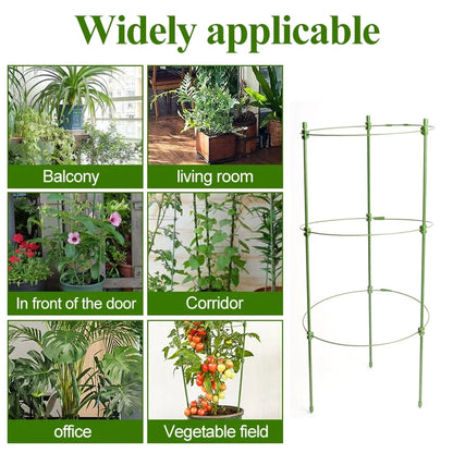 Climbing Frame for Plants - Stable Support Ring Frame for Climbing Plants